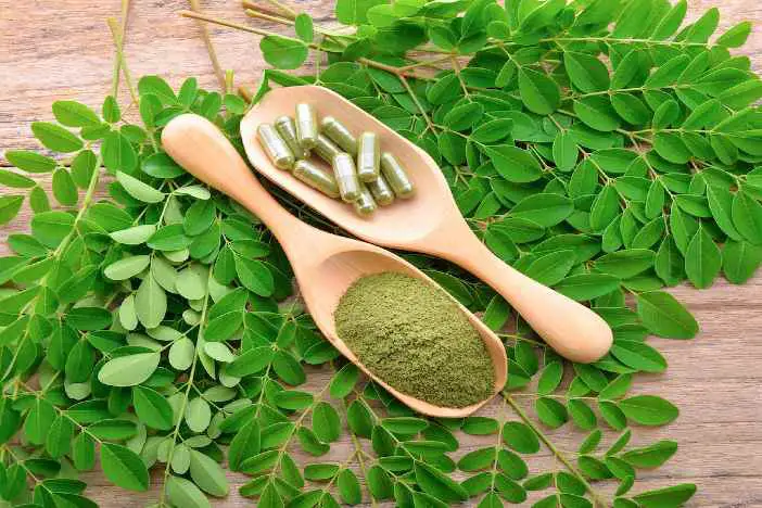 moringa superfoods africa