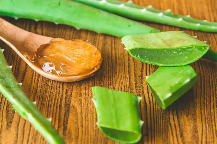 aloe vera gel spots dark skin