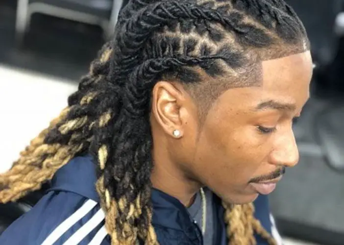 dreadlock braids hairstyle for black men