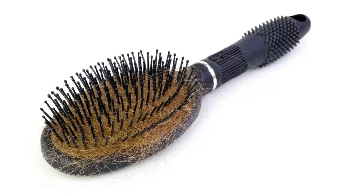 clean hair brush