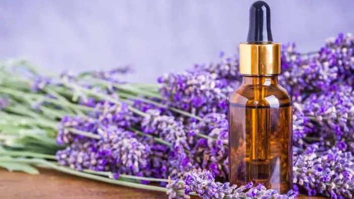 Lavender oil helps to relieve heel spur pain
