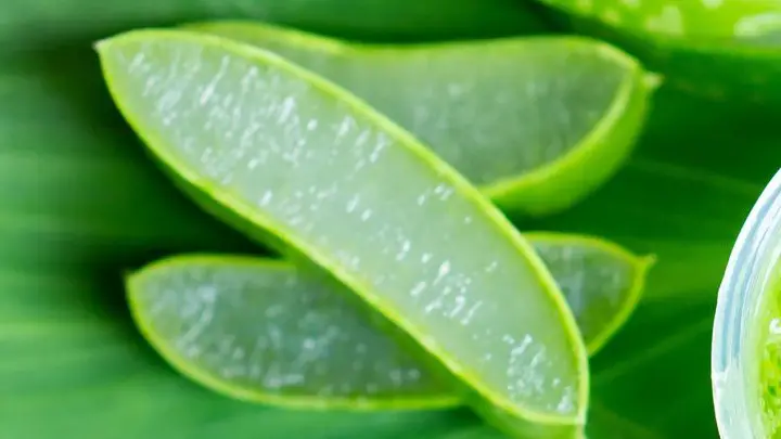 is aloe vera good for your skin