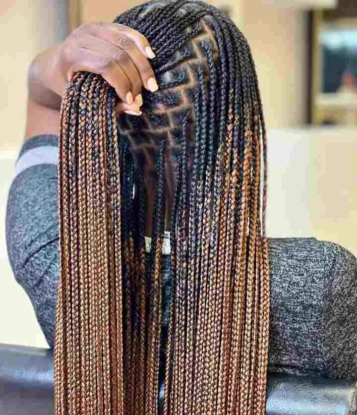 Small Knotless Braids- 15 Beautiful Hairstyles for You to Try This ...