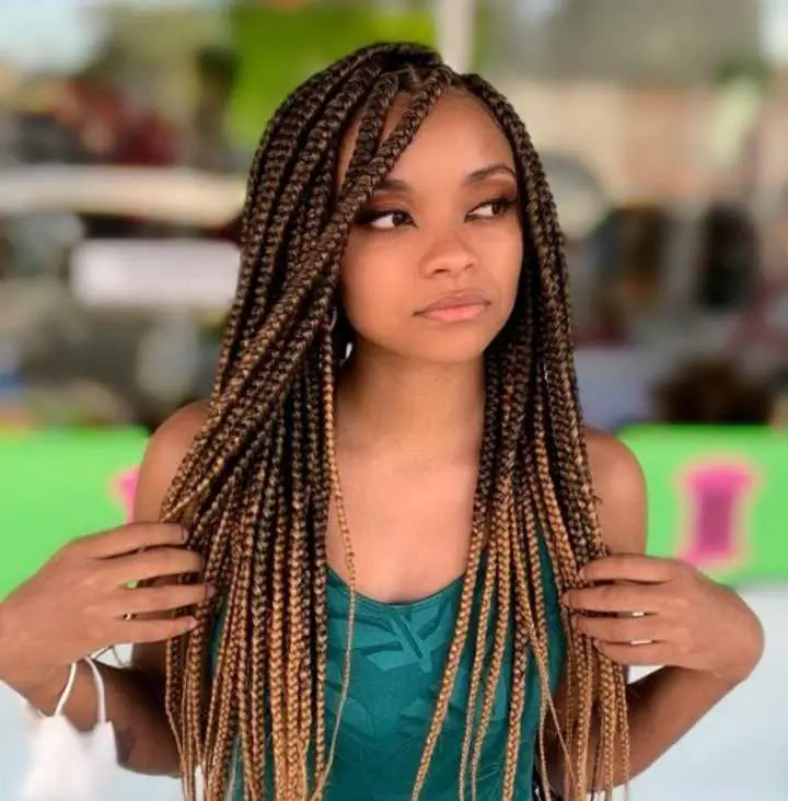 How to Style Box Braids: Plus 26 Unique Styles - Africana Fashion