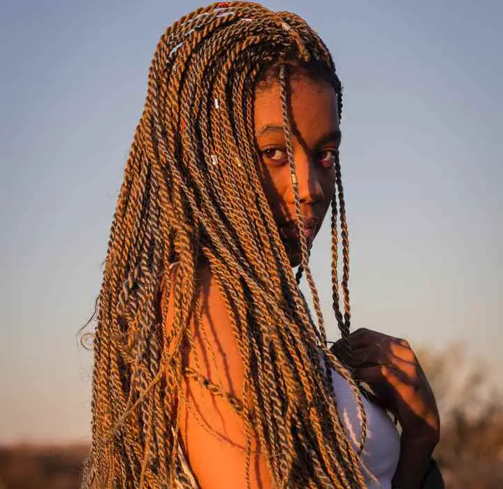 tiny Senegalese twists protective hairstyles