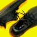why-are-yeezys-so-expensive-africana-fashion